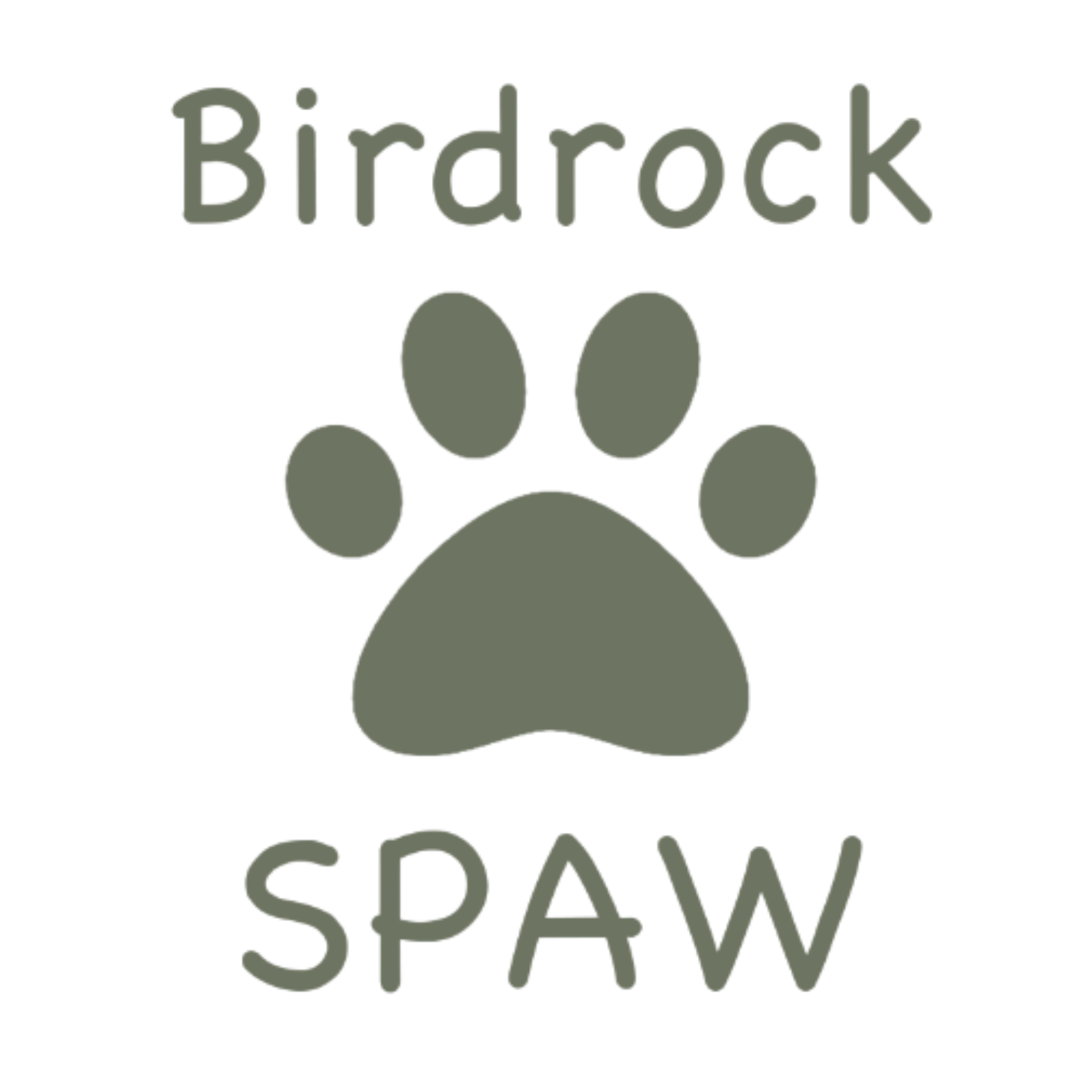 Birdrock SPAW